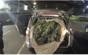 Cheech & Chong In The UK.. The Sheriff of Nottingham Media Release.."Cannabis-filled car pulled over following rapid police response"