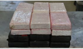 Laredo port customs officers seize over $800,000 cocaine