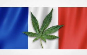 France’s Medical Cannabis Pilot Officially Ends