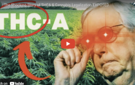 Rod Discusses THCa and Legalization in New Documentary [Video]
