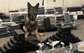 Ton,of cocaine seized in Southern California