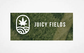 Nine Arrested In 'JuicyFields' Cannabis Fraud Probe - 400 Police Officers Involved In Multi Jurisdictional Swoop