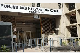India: Wild Cannabis Plants Openly Growing In Chandigarh? Punjab & Haryana High Court Expresses Concern, Seeks UT's Response