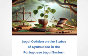 New Report: Navigating Legal Clarity on Ayahuasca in Portugal