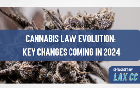 The Biggest Cannabis Laws Updates in 2024
