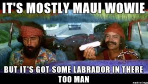 No Wowie in Maui - senators vote with majority in killing cannabis decriminalization bill including,even, Sen Hashimoto!