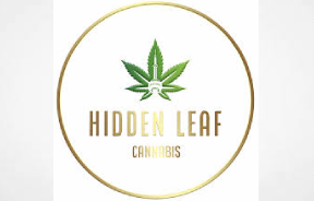 Discover the Best Cannabis Experience at The Hidden Leaf Cannabis in Burlington