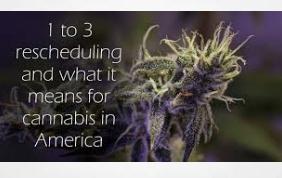 Latest Updates On DEA Rescheduling. Today  NORML, NCIA & MCA Accounting Solutions