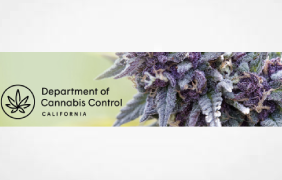 Department of Cannabis Control’s Notice of Availability and Virtual Meeting for a Draft Environmental Impact Report for the Licensing of Commercial Cannabis Cultivation in Mendocino County Project 