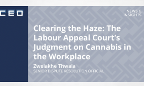 South Africa: Clearing The Haze: The Labour Appeal Court's Judgment On Cannabis In The Workplace