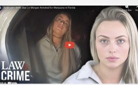 Bodycam: WWE Star Liv Morgan Arrested for Marijuana in Florida