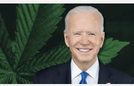 Marijuana Moment Notes Political Response To Biden Re-Scheduling Announcement