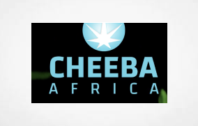 South Africa: Cheeba Cannabis Academy launches the Tshego Cannabis Scholarship