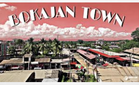 Assam: Another Cannabis Seizure