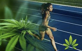 Exploring the Benefits of Cannabis for Wellness and Recreation