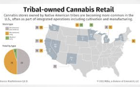 High Times / MJ Biz: Data Shows Growing Number of Native American Tribal Cannabis Business Owners