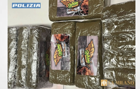 Italy: Genova - 30 kg of hashish in a box: two subjects arrested by the police
