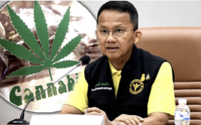 Thailand - Media Report: Cannabis slammed by top medical leaders and academics at Ministry of Public Health civil forum