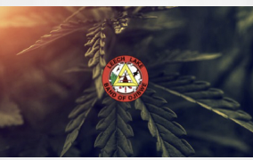 Leech Lake Band of Ojibwe Ventures into Cannabis Industry with New Business Launch