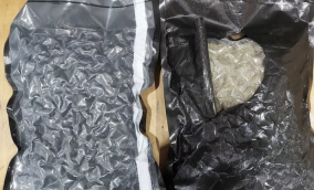Singapore:  Officers at the Immigration and Checkpoints Authority (ICA) have foiled an attempt to smuggle cannabis into Singapore.