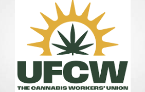 United Food and Commercial Workers (UFCW) - Cannabis Workers Union Publish Summer 2024 Newsletter