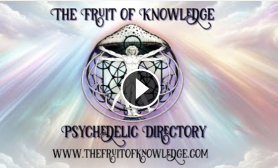 Press Release: Unlocking Potential: Fruit of Knowledge Launches Premier Psychedelic Directory