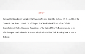 NY Gov Draft Doc Suggests More Nuanced Rules & Regs In The Pipeline For Advertising, Marketing & Packaging