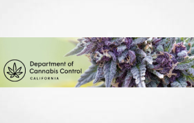 The Department of Cannabis Control (DCC)  announces open recruitment for state Cannabis Advisory Committee (CAC)