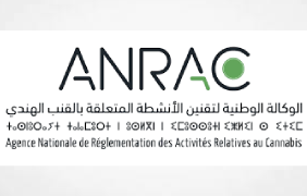 Media Article: "Morocco plots European market conquest with legalised cannabis"