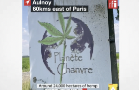 How France's hemp industry helps in fight against climate change • RFI English