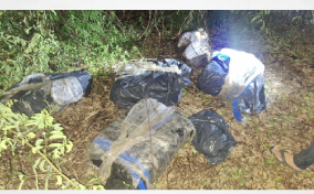Trinidad & Tobago: Over $31m worth of high-grade marijuana seized in Guapo 