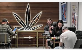 Creating a Welcoming Environment in Cannabis Dispensaries