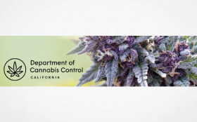 The Department of Cannabis Control (DCC) is excited to announce open recruitment for the Cannabis Advisory Committee (CAC).