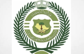 GDNC arrests citizen attempting to sell 31 Kg of hashish in Eastern Region of Saudi Arabia