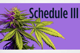 Do you like reading DEA cannabis re-scheduling comments? - If so here are a few