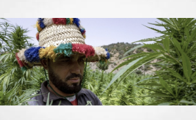 Media Article: In Morocco, cannabis growers come 'out of the shadows'
