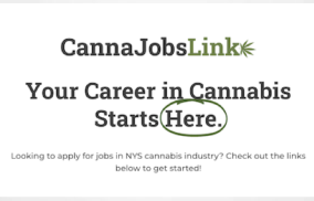 NY Cannabis Workforce Initiative Launched