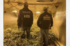 Media Report: Workers at Maine’s illegal cannabis grow sites report signs of human trafficking