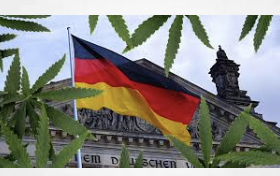 Germany 226 applications have been submitted to start legalised cannabis cultivation associations