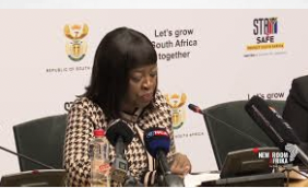 South African Govt Provides Briefing On Progress Of Country's Cannabis & Hemp Program