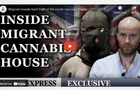 UK: Migrant reveals hard truth of life inside cannabis house