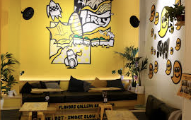 Cannabis Social Clubs in Barcelona: A Comprehensive Overview