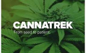 Cannabiz Australia Report: A revolving door of senior staff: what’s behind the turbulence at Cannatrek?