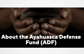 ICEERS: "Legal status of ayahuasca in the world" - Ayahuasca Defense Fund (ADF)