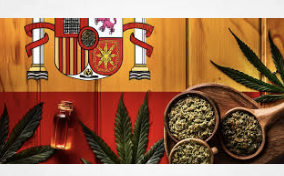 Spain: Royal Decree regarding medical cannabis to be published in next 24 hours