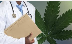 Mistakes to Avoid When Choosing a Medical Cannabis Lawyer