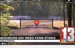 Moreau neighbors say illegal weed farm stinks