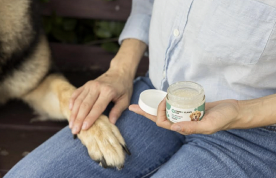 Paws and Claws CBD: An Honest Review for Pet Parents