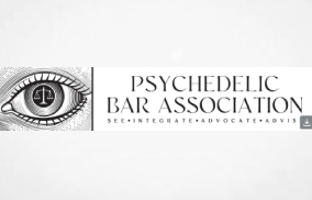 Professional Article: Hiding in Plain Sight: Bias in Legal Contracts A Call to Reform Contract Language Using the Term “Master”