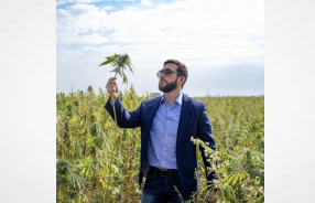 Marcelo Demp, president of the Paraguayan Chamber of Industrial Cannabis (CCIP)says entire premium cannabis flower production planned for 2024 has been purchased by the European market.